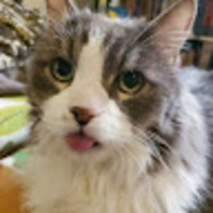 Meet your Posher, Rory